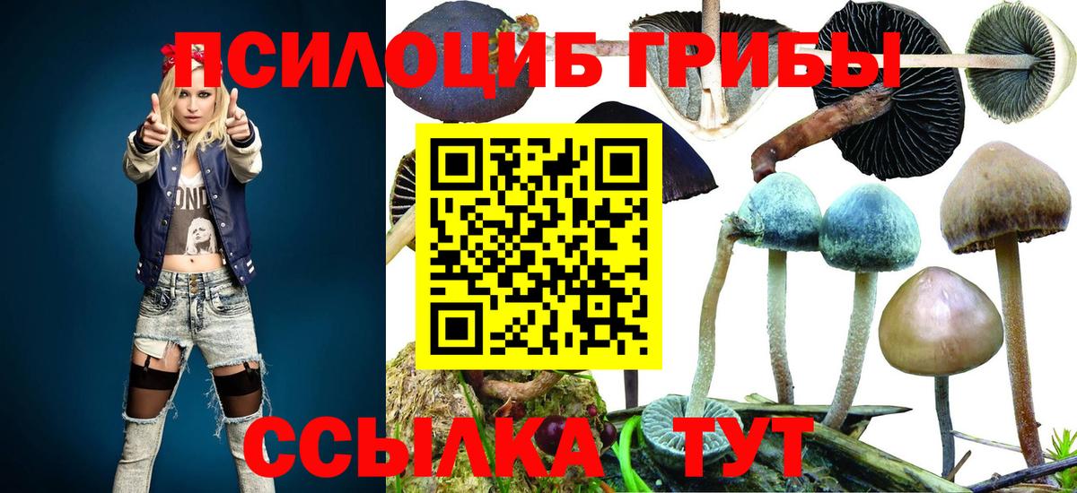 Псилоцибиновые грибы мицелий Кимры