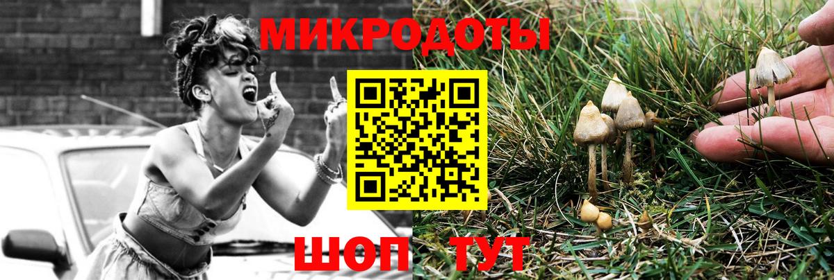 Кимры  Галлюциногенные грибы Psilocybine cubensis  Вход с VPN  Галлюциногенные грибы GOLDEN TEACHER 